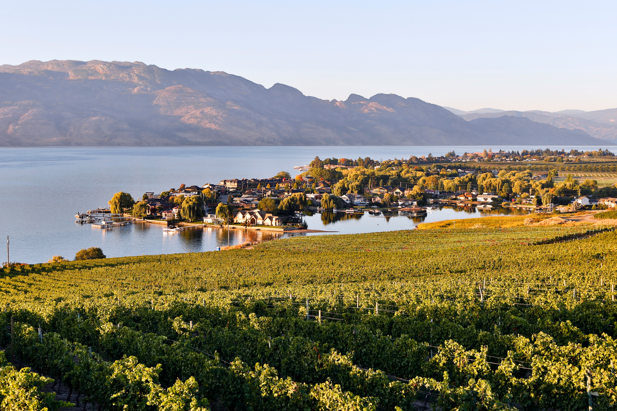 Okanagan_Valley,_British_Columbia[1].webp